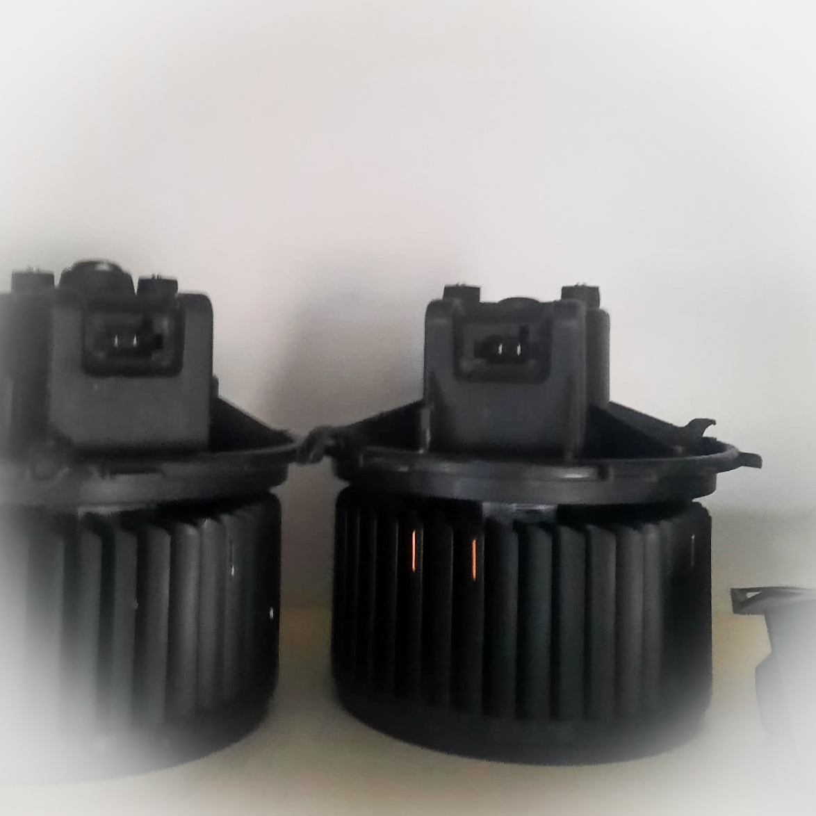 IMG 20251026 WA0020 2